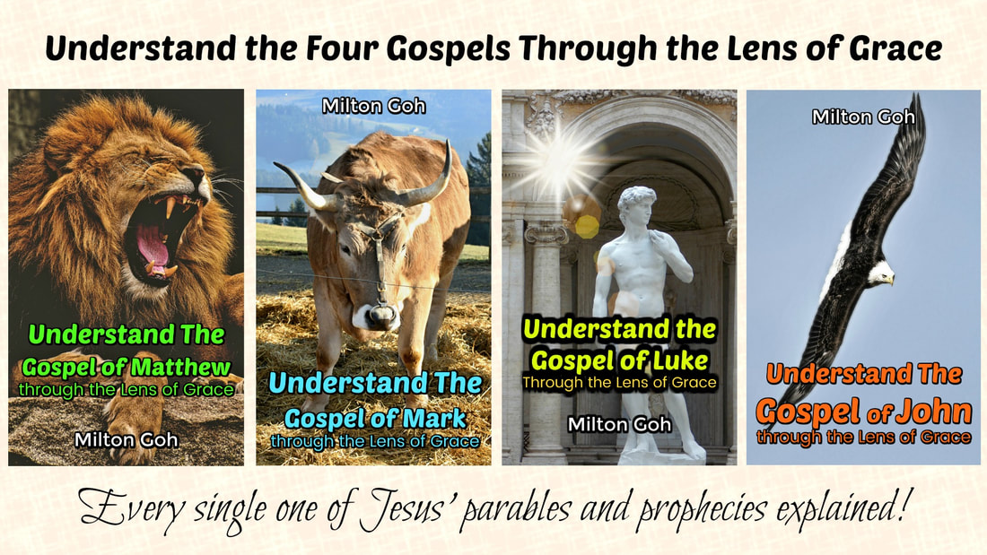 In these books, you’ll understand which parts of the Four Gospels are for the dispensation of the Law but written for our learning, which ones are for us to apply as New Covenant commandments today and which ones are to be looked forward to in the future! No passage in the Four Gospels will remain a mystery to you after reading these ebooks. Faith, hope and love will blossom in your innermost being because these crucial books of the Bible are unlocked for you.