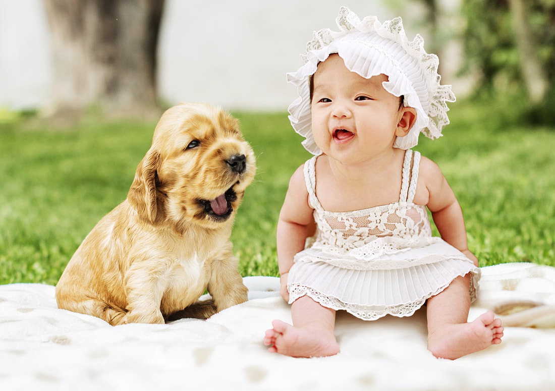 If you have weighed the pros and cons and opted to own a pet, introduce it slowly to your kids. Start off by speaking to them beforehand and letting them know that touching, petting, and playing with a dog or cat is not a right, but a privilege. It has to be done on the pet’s terms, because we cannot reason with a pet in the same way we can with a person.