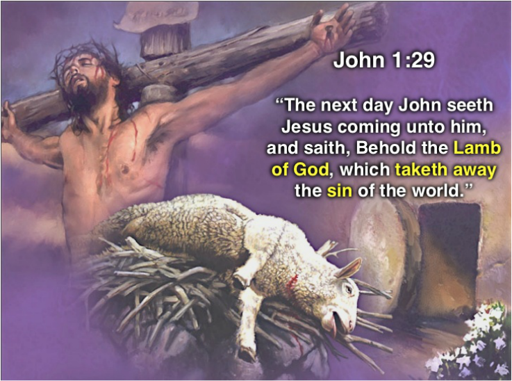 The blood of bulls and goats cannot take away the sins of the world. They can only provide a covering year to year, like sweeping the sins under a carpet. But as John the Baptist declared, Jesus is the Lamb that TAKES AWAY the sins of the world!
